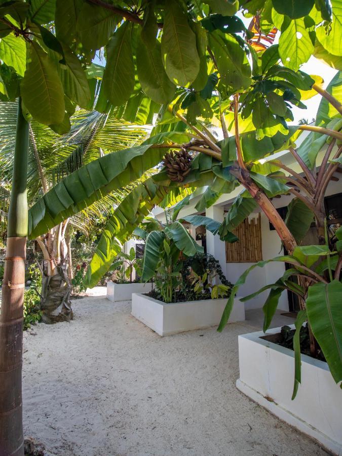 Tropical Oasis Boutique Hotel Michamvi Kae Exterior photo